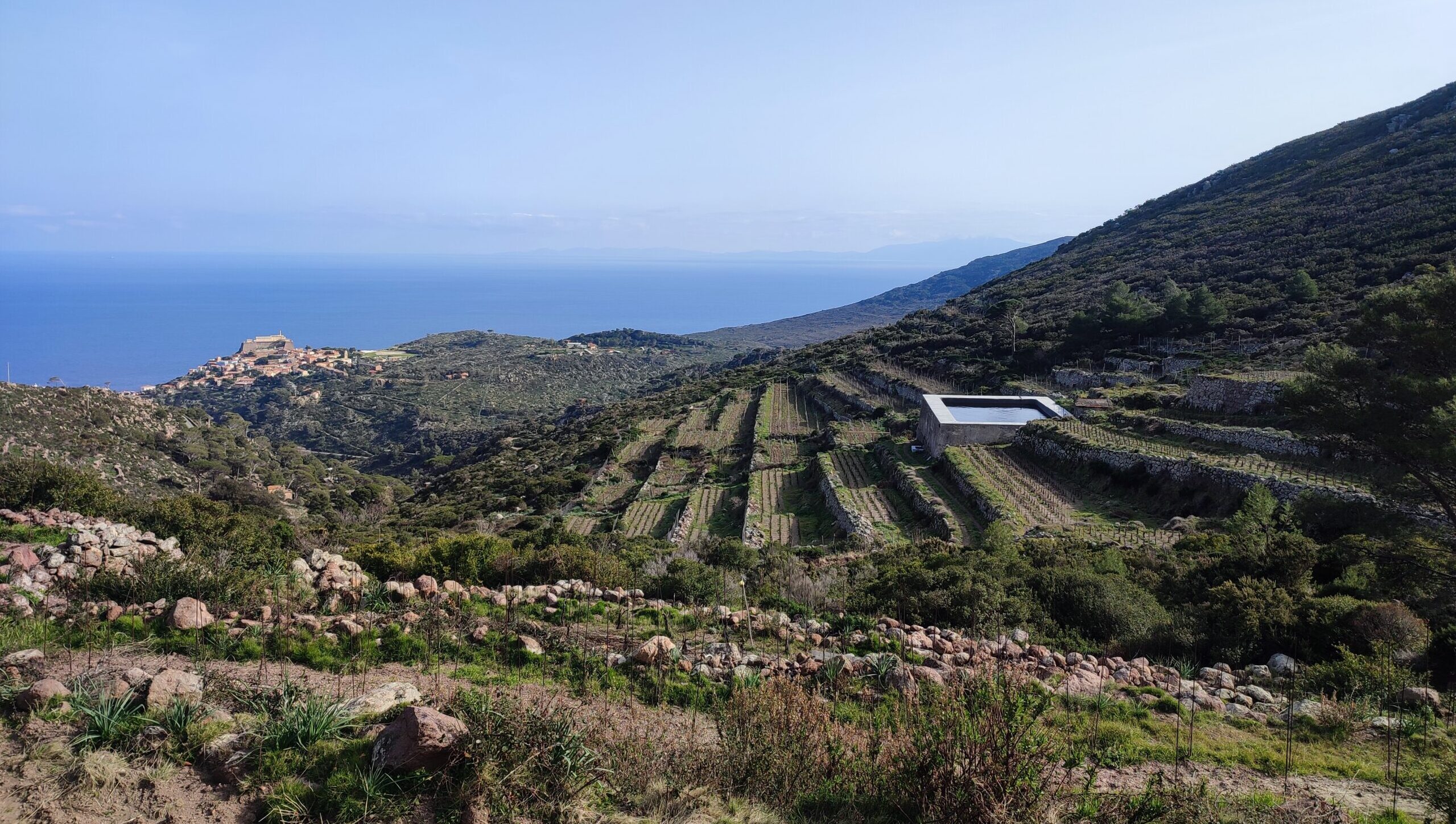 Visitare l'isola di Capraia